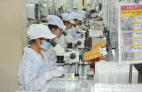 TP.HCM nâng cấp Nghị quyết 98 đón ‘đại bàng' - Bài 1: Còn nhiều rào cản với nhà đầu tư chiến lược