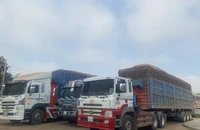 Bộ NN&MT nói gì về việc hàng trăm ngàn tấn nông sản tắc tại cửa khẩu vì vướng Nghị định 46/2026?