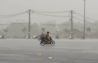 Mưa lớn làm dịu mát nhiều quận, huyện ở TP.HCM