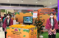 Nhật Bản quảng bá quýt tại Việt Nam. ẢNH: TÚ UYÊN