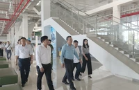 TP.HCM cần kiểm tra, xử lý xe dù bến cóc, đảm bảo an toàn giao thông dịp Tết