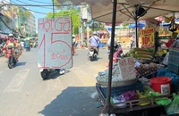 Bất ngờ trứng gà giá chỉ 15.000 đồng/chục