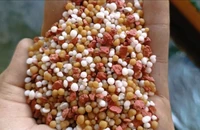 Việt Nam nhập khẩu phân bón Trung Quốc nhiều nhất 