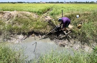 Vì sao Đồng bằng sông Cửu Long sạt lở, thiếu cát và phù sa?