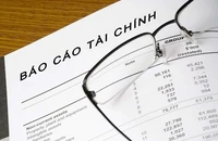 'Hô biến' lỗ thành lãi, 1 doanh nghiệp ngành nhựa bị xử phạt hơn 200 triệu