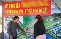Cẩn trọng khi giá đất Nam Đà Nẵng rục rịch tăng theo tin đồn sáp nhập tỉnh