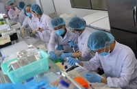 Nhân viên làm việc trong một công ty tư nhân trong khu công nghệ cao TP.HCM. Ảnh: HOÀNG GIANG