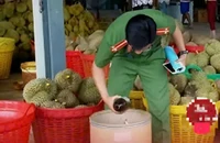 Thông tin 'sầu riêng nhúng hóa chất tại Đắk Nông' đã bị cắt ghép
