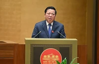 Vành đai 4 TP.HCM: Chính phủ tìm giải pháp bảo đảm nguồn cung vật liệu