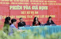 Bạo lực gia đình ảnh hưởng đến nền tảng của xã hội