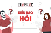 Từng thôi quốc tịch Việt Nam giờ xin nhập lại được không?