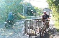 Bến Tre: Dân bức xức vì đường hư hỏng, nguy cơ tai nạn 