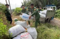 Bộ đội Biên phòng Cửa khẩu cảng Giao Long bắt đối tượng trộm gần 900 kg nghêu
