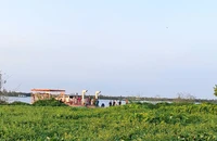 Bơi ngang cống nước, 3 thanh niên bị hút vào, mất tích