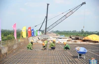 Đẩy nhanh tiến độ thi công dự án thành phần 2 cao tốc Cao Lãnh - An Hữu