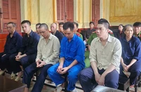 TP.HCM: Mua bột năng về sản xuất thuốc giả