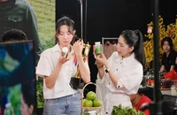 TAND TP.HCM đã tiếp nhận hồ sơ vụ Hoa hậu Thùy Tiên, Quang Linh Vlogs, Hằng Du Mục 