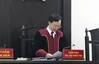 Phán quyết của tòa vụ vay ngân hàng mua biệt thự: Kinh nghiệm pháp lý cho các bên liên quan