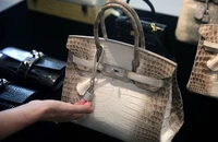 Quy trình đấu giá hai túi Hermès bạch tạng của bà Trương Mỹ Lan thế nào?