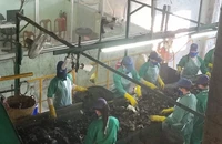 Chủ nhà máy rác Cà Mau đòi đóng cửa vì bị nợ hơn 33 tỉ đồng