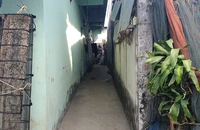 Cà Mau xác minh clip đánh đập trẻ em cả giờ đồng hồ sau bụi rậm 