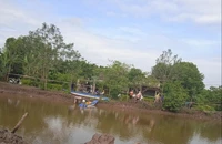 3 người trong 1 nhà ở Cà Mau tử vong nghi bị sát hại
