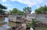 Bí thư tỉnh Cà Mau chỉ đạo 'không bẻ cong con lộ vì né nhà mồ'