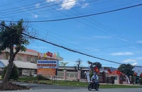 Cà Mau: Buộc 3 Công ty di dời tài sản hơn 60 tỉ ra khỏi đất Nhà nước