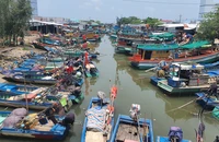 Chủ tịch Cà Mau kêu gọi ngư dân chung tay khắc phục 'thẻ vàng' EU