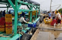 Bạc Liêu hỗ trợ 300 người đi nước ngoài làm việc