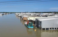 Cà Mau: Chuyển công an làm rõ vụ 'chung chi' để thoát tội đánh bạc