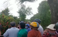 Vụ thảm án ở Cà Mau: Không nạn nhân nào thấy hung thủ giết người thân của mình 