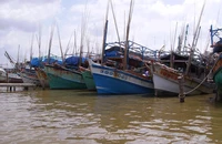 Biểu dương 1 ngư dân Cà Mau vì hiểu biết pháp luật biển tốt