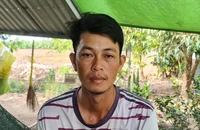 Nhiều nông dân Cà Mau bị thương lái nợ tiền mua lúa cả năm