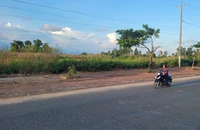 Chủ tịch tỉnh Cà Mau chỉ đạo triển khai tiếp dự án của Công ty Quang Tiền