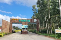 Cục Thuế Cà Mau xác định có vi phạm trong vụ vé câu cá lạ ở Vườn quốc gia U Minh Hạ