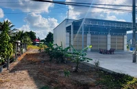 Vụ cụ bà 93 tuổi kiện Chủ tịch huyện ở Cà Mau: Huyện nhận sai