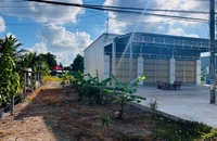 Vụ cụ bà 93 tuổi kiện chủ tịch huyện ở Cà Mau: Toà tuyên huyện phải cấp sổ hồng cho cụ