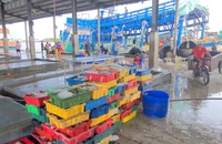 Cà Mau: Quyết liệt bảo vệ nguồn lợi thủy sản, xử lý nghiêm vi phạm