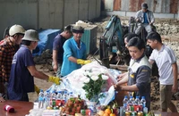 Hành động nhân văn của người dân Cà Mau trước con cá heo gặp nạn