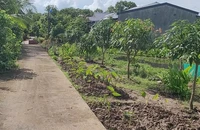 Xuất hiện tình tiết mới vụ cái bồn kỳ lạ ở Cà Mau