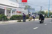 Công an yêu cầu cung cấp thông tin các dự án liên quan cây xanh ở Cà Mau