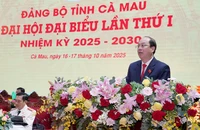 Ông Nguyễn Hồ Hải được chỉ định làm Bí thư Tỉnh ủy Cà Mau nhiệm kỳ 2025 - 2030