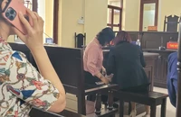 Vụ án bà Âu Ngọc Vững cưa cây ở Cà Mau: Tranh luận chuyện định giá cây dừa