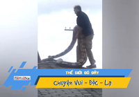 Video: Hoảng hồn phát hiện trăn 5,5m bò trên mái nhà