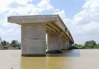 Người dân ngao ngán nhìn cầu Long Đại 'mọc cây'
