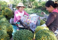 Đồng Tháp sẽ đánh giá năng lực cạnh tranh sở, ngành