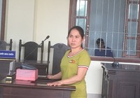 Chặt 20 cây cam, mãng cầu lãnh 6 tháng tù