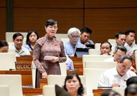 Bà Quyết Tâm: Nhân văn chỗ nào khi không giảm giờ làm?