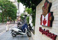 Maple Bear Westlake Point được tuyển sinh do lỗi đánh máy!